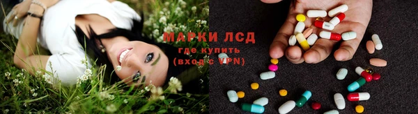 стафф Надым