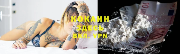 стафф Надым