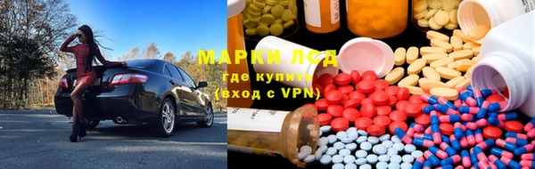 прущие грибы Михайловск