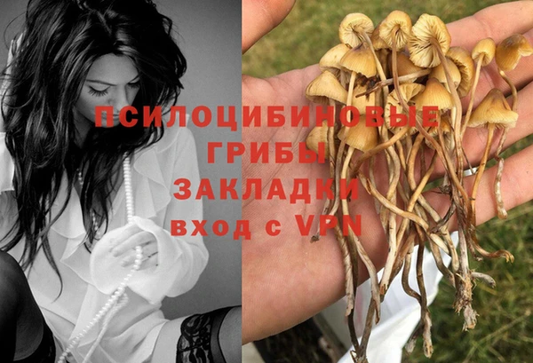 метадон Наволоки