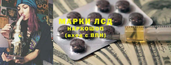 стафф Надым