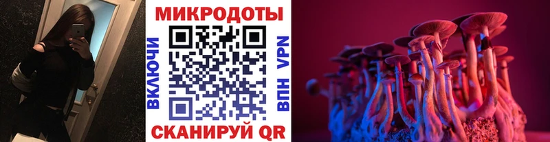 Галлюциногенные грибы Psilocybine cubensis  Североуральск 