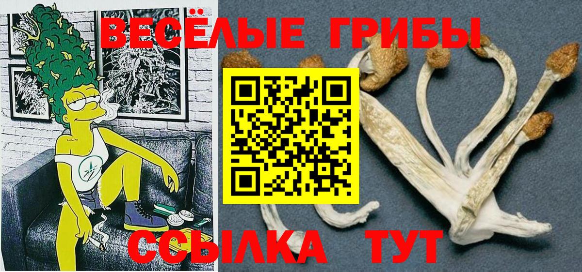 Североуральск  Псилоцибиновые грибы MAGIC MUSHROOMS  Вход с VPN  что такое   Галлюциногенные грибы Cubensis 